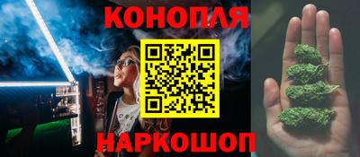 гидропоника Будённовск