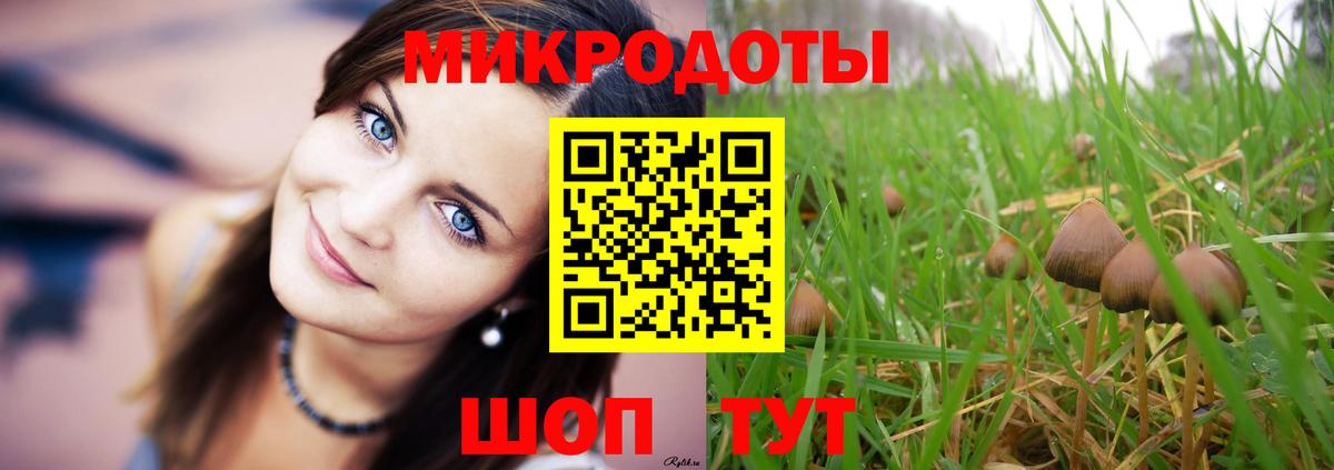 Галлюциногенные грибы мухоморы Коркино