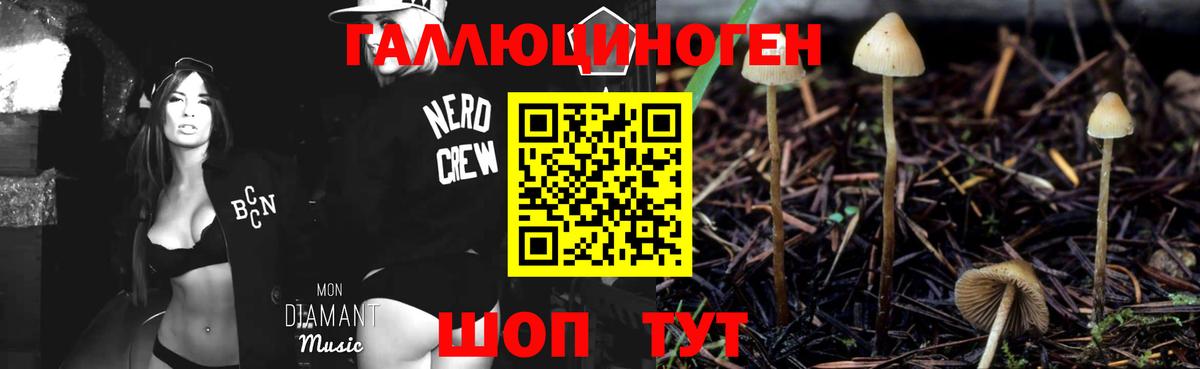 Галлюциногенные грибы MAGIC MUSHROOMS  Вход с VPN  Коркино 